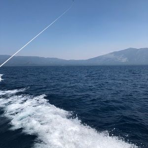 Meet your Posher, Mar